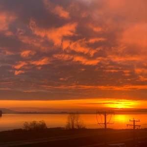 Meet your Posher, Larry